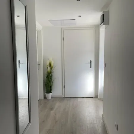 Toni * سكرادين